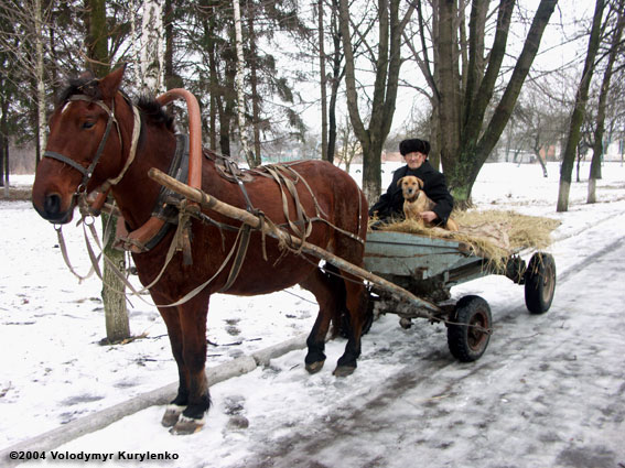 ���������, ������� �������, ������. ������ � ����� ���� �� �����, �� ��������� ���� �����