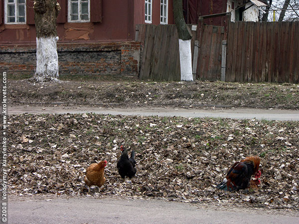 ���������, ������� �������, ������. ������ � ����� ���� �� �����, �� ��������� ���� �����