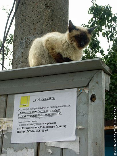 ���������, ������� �������, ������. ������ � ����� ���� �� �����, �� ��������� ���� �����