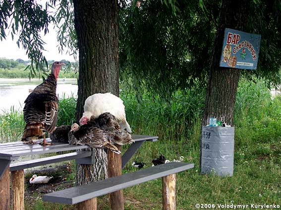 ���������, ������� �������, ������. ������ � ����� ���� �� �����, �� ��������� ���� �����