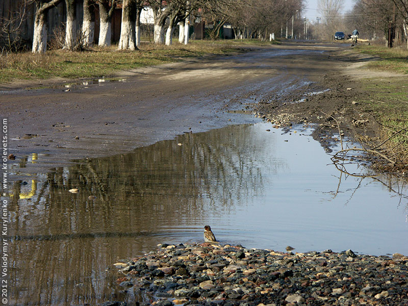 ���������, ������� �������, ������. ������ � ����� ���� �� �����, �� ��������� ���� �����