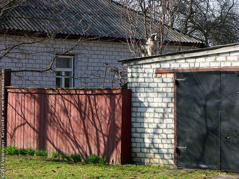 ���������, ������� �������, ������. ������ � ����� ���� �� �����, �� ��������� ���� �����