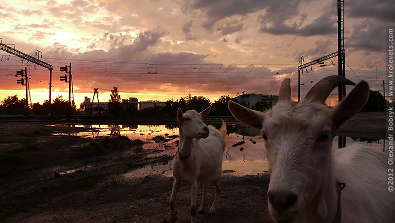 ���������, ������� �������, ������. ������ � ����� ���� �� �����, �� ��������� ���� �����