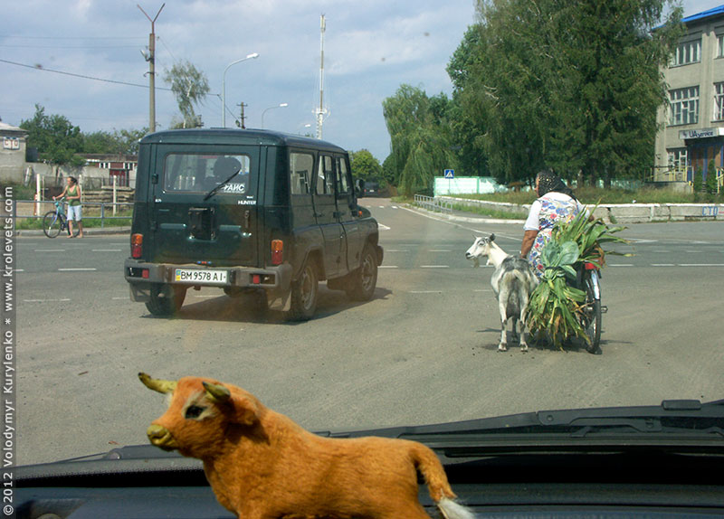 ���������, ������� �������, ������. ������ � ����� ���� �� �����, �� ��������� ���� �����