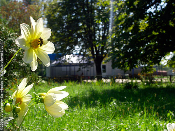 ���������, ������� �������, ������. ������ � ����� ���� �� �����, �� ��������� ���� �����