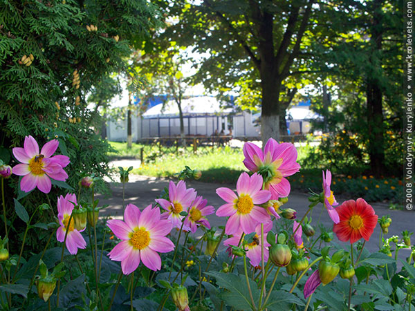 ���������, ������� �������, ������. ������ � ����� ���� �� �����, �� ��������� ���� �����