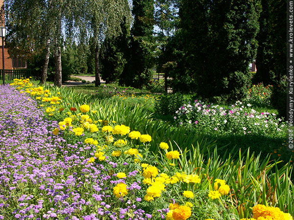 ���������, ������� �������, ������. ������ � ����� ���� �� �����, �� ��������� ���� �����