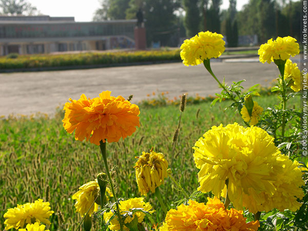 ���������, ������� �������, ������. ������ � ����� ���� �� �����, �� ��������� ���� �����