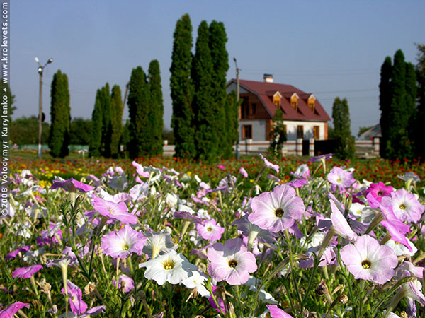 ���������, ������� �������, ������. ������ � ����� ���� �� �����, �� ��������� ���� �����