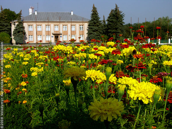 ���������, ������� �������, ������. ������ � ����� ���� �� �����, �� ��������� ���� �����