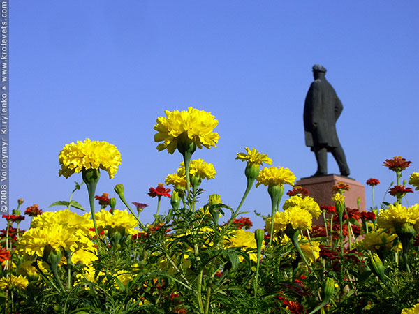 ���������, ������� �������, ������. ������ � ����� ���� �� �����, �� ��������� ���� �����