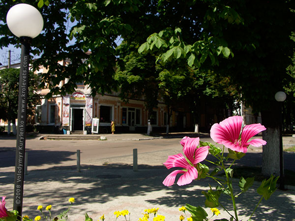 ���������, ������� �������, ������. ������ � ����� ���� �� �����, �� ��������� ���� �����