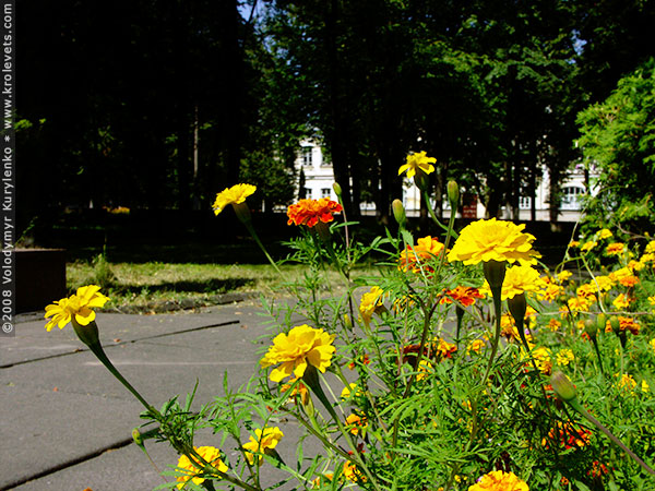 ���������, ������� �������, ������. ������ � ����� ���� �� �����, �� ��������� ���� �����