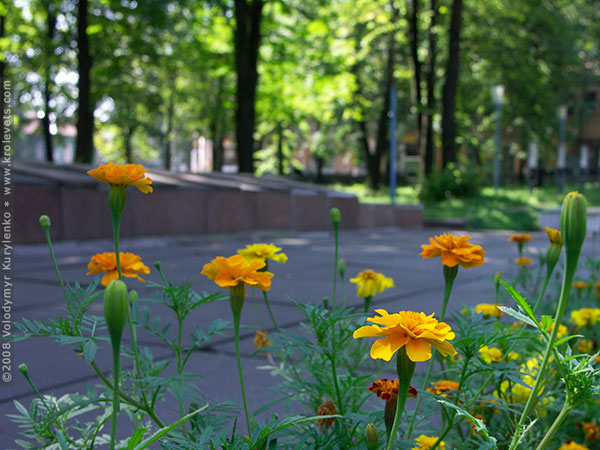 ���������, ������� �������, ������. ������ � ����� ���� �� �����, �� ��������� ���� �����