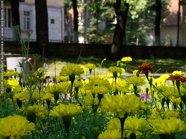 ���������, ������� �������, ������. ������ � ����� ���� �� �����, �� ��������� ���� �����