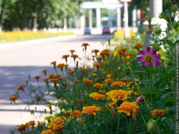 ���������, ������� �������, ������. ������ � ����� ���� �� �����, �� ��������� ���� �����