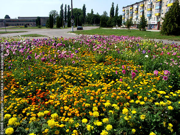 ���������, ������� �������, ������. ������ � ����� ���� �� �����, �� ��������� ���� �����