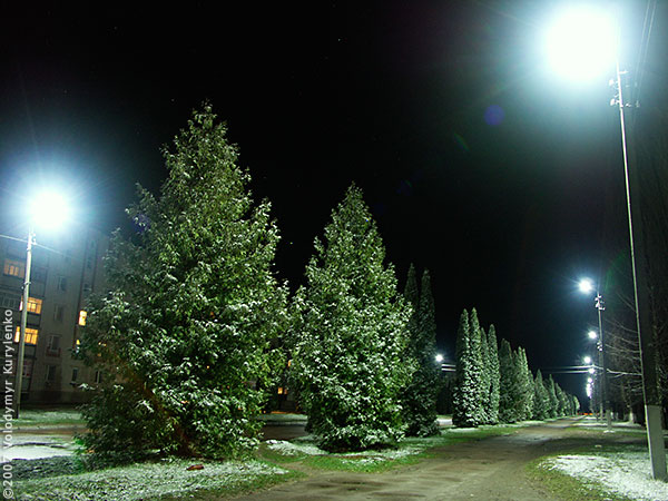 ���������, ������� �������, ������. ������ � ����� ���� �� �����, �� ��������� ���� �����