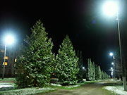 ͳ���� ���������