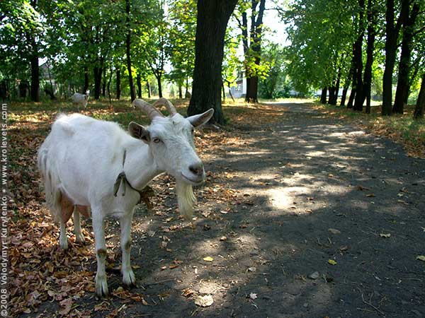 ���������, ������� �������, ������. ������ � ����� ���� �� �����, �� ��������� ���� �����