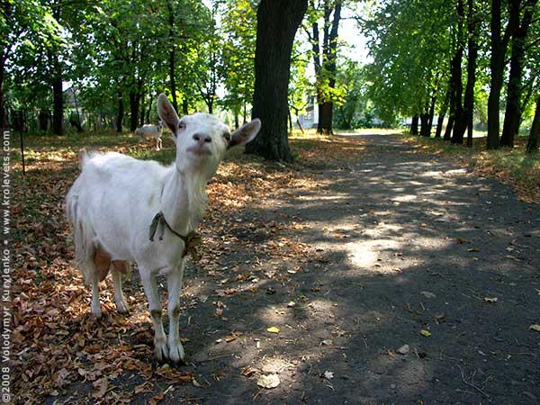 ���������, ������� �������, ������. ������ � ����� ���� �� �����, �� ��������� ���� �����