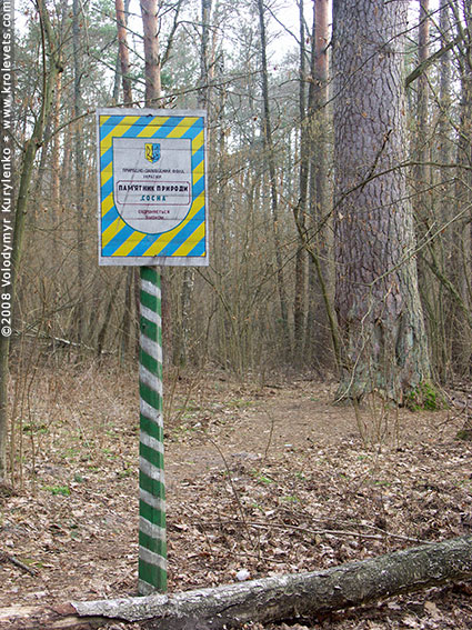 ���������, ������� �������, ������. ������ � ����� ���� �� �����, �� ��������� ���� �����