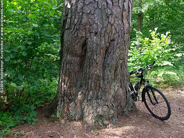 ���������, ������� �������, ������. ������ � ����� ���� �� �����, �� ��������� ���� �����