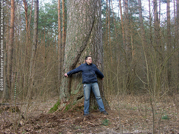 ���������, ������� �������, ������. ������ � ����� ���� �� �����, �� ��������� ���� �����