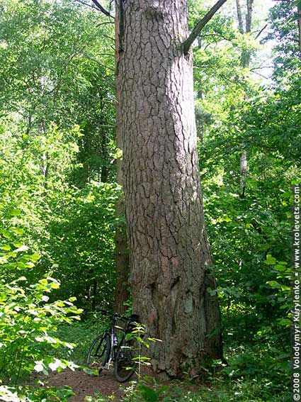 ���������, ������� �������, ������. ������ � ����� ���� �� �����, �� ��������� ���� �����