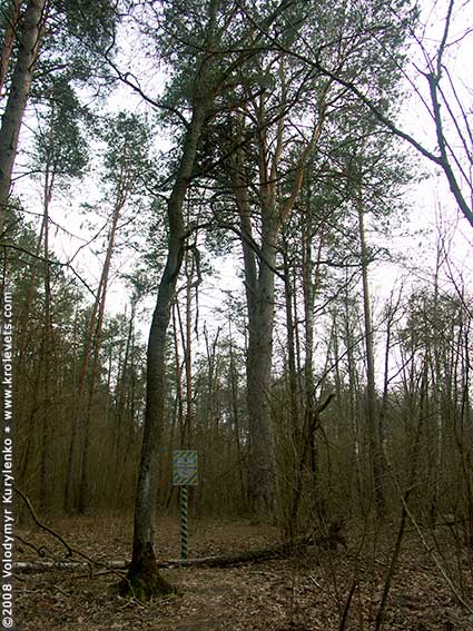 ���������, ������� �������, ������. ������ � ����� ���� �� �����, �� ��������� ���� �����