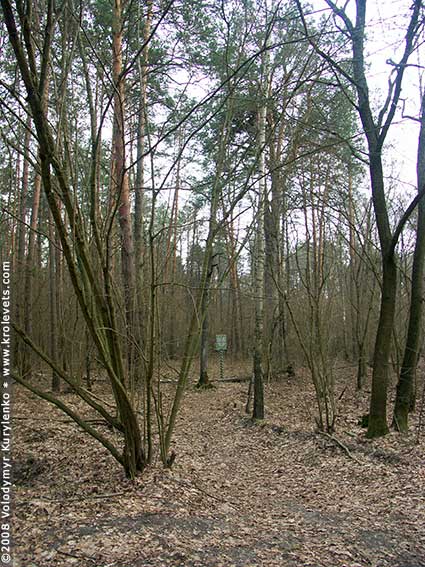 ���������, ������� �������, ������. ������ � ����� ���� �� �����, �� ��������� ���� �����