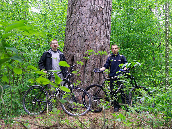 ���������, ������� �������, ������. ������ � ����� ���� �� �����, �� ��������� ���� �����