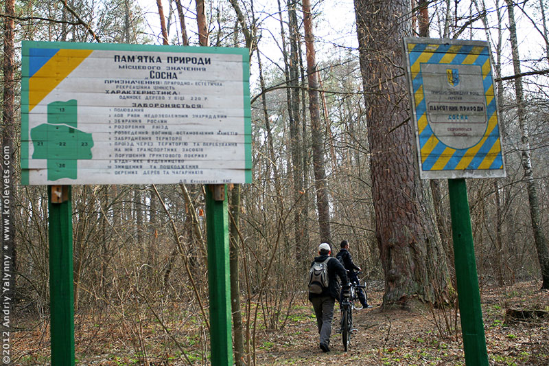 ���������, ������� �������, ������. ������ � ����� ���� �� �����, �� ��������� ���� �����