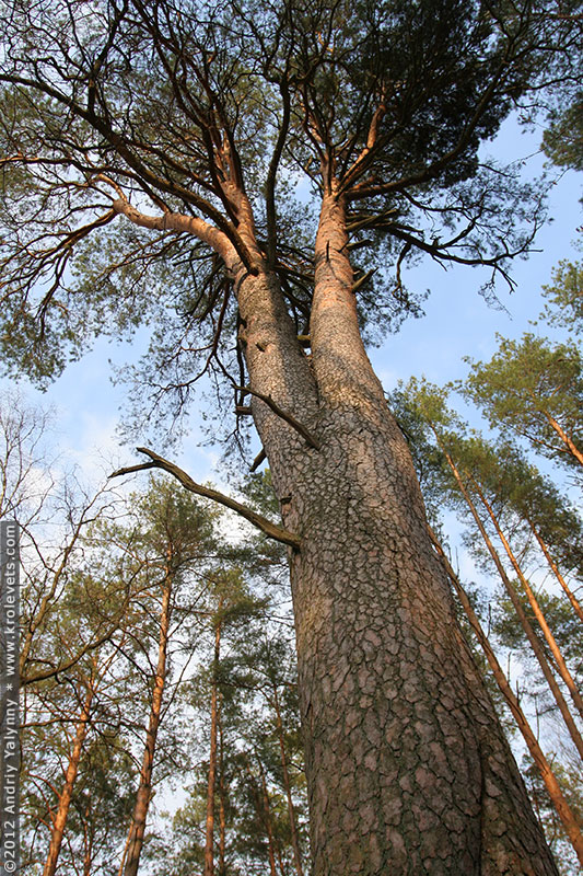 ���������, ������� �������, ������. ������ � ����� ���� �� �����, �� ��������� ���� �����