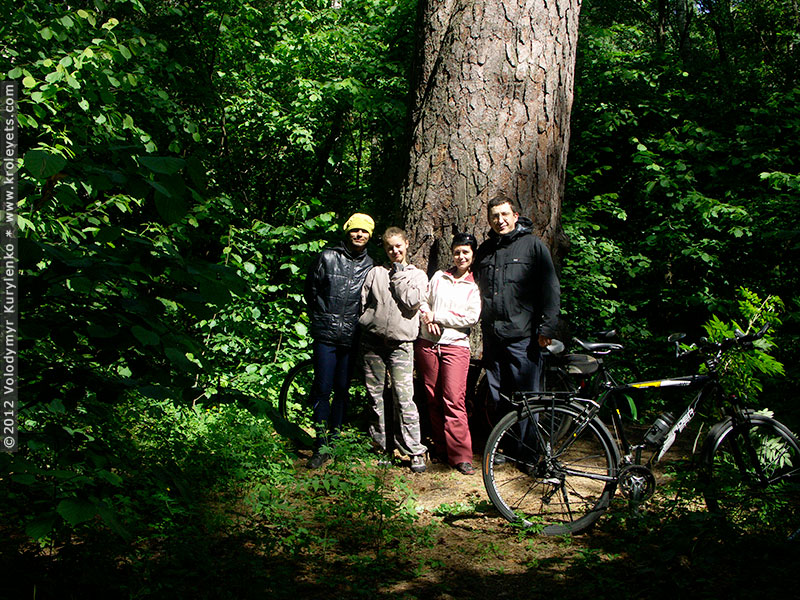 ���������, ������� �������, ������. ������ � ����� ���� �� �����, �� ��������� ���� �����