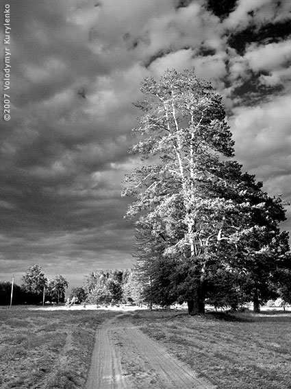 ���������, ������� �������, ������. ������ � ����� ���� �� �����, �� ��������� ���� �����