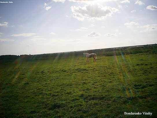 ���������, ������� �������, ������. ������ � ����� ���� �� �����, �� ��������� ���� �����