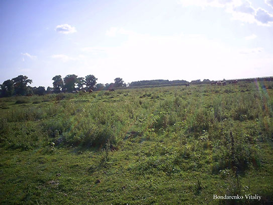 ���������, ������� �������, ������. ������ � ����� ���� �� �����, �� ��������� ���� �����