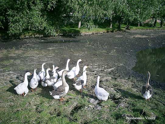 ���������, ������� �������, ������. ������ � ����� ���� �� �����, �� ��������� ���� �����