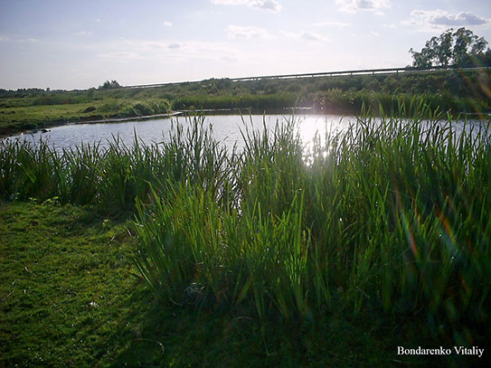 ���������, ������� �������, ������. ������ � ����� ���� �� �����, �� ��������� ���� �����