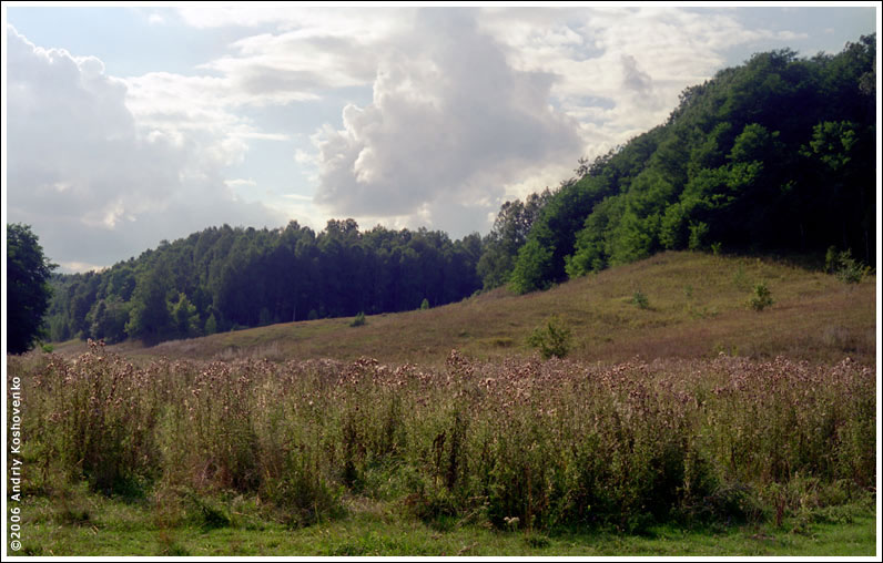 ���������, ������� �������, ������. ������ � ����� ���� �� �����, �� ��������� ���� �����