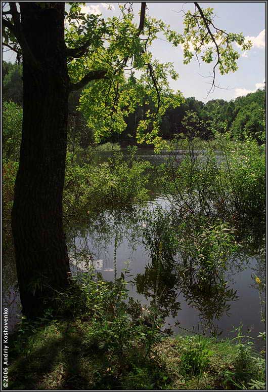 ���������, ������� �������, ������. ������ � ����� ���� �� �����, �� ��������� ���� �����