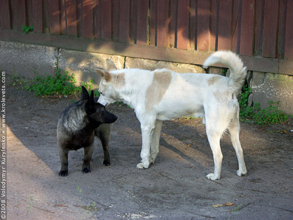 ���������, ������� �������, ������. ������ � ����� ���� �� �����, �� ��������� ���� �����