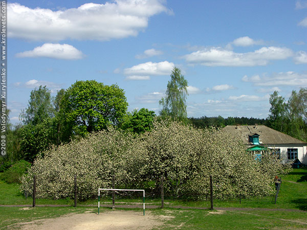 ���������, ������� �������, ������. ������ � ����� ���� �� �����, �� ��������� ���� �����