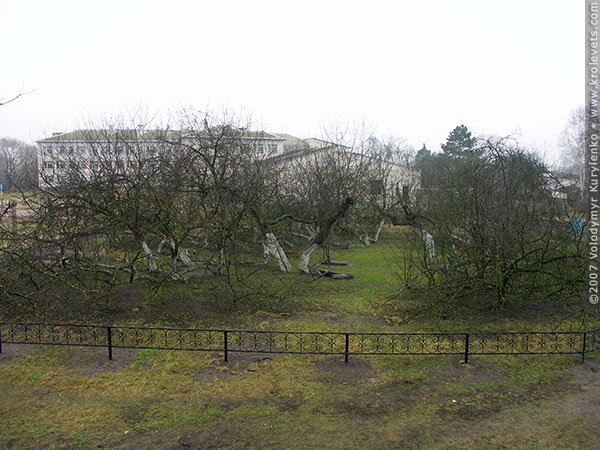 ���������, ������� �������, ������. ������ � ����� ���� �� �����, �� ��������� ���� �����