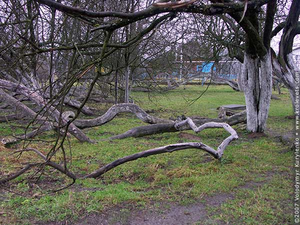 ���������, ������� �������, ������. ������ � ����� ���� �� �����, �� ��������� ���� �����