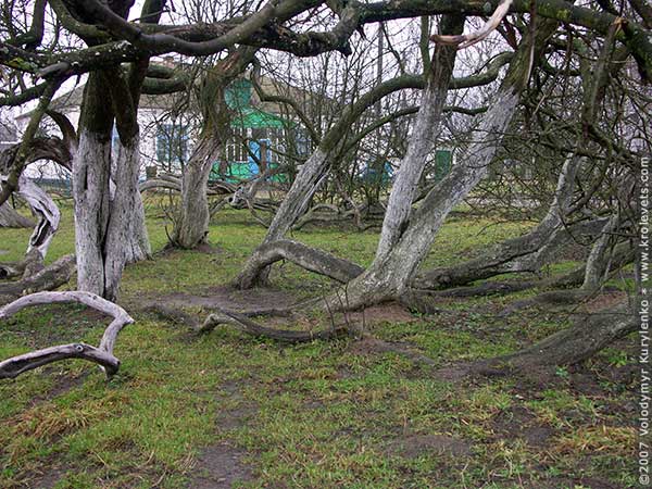 ���������, ������� �������, ������. ������ � ����� ���� �� �����, �� ��������� ���� �����