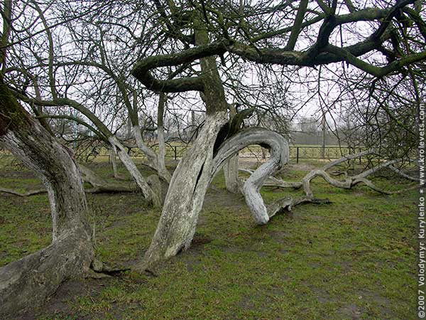 ���������, ������� �������, ������. ������ � ����� ���� �� �����, �� ��������� ���� �����