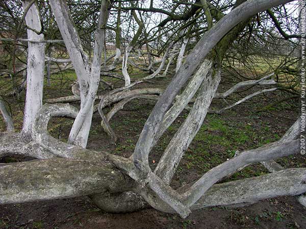 ���������, ������� �������, ������. ������ � ����� ���� �� �����, �� ��������� ���� �����