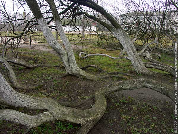 ���������, ������� �������, ������. ������ � ����� ���� �� �����, �� ��������� ���� �����